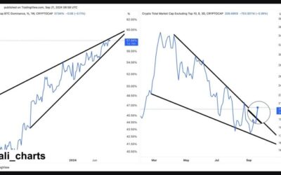 Bitcoin Dominance Falls: Here’s Why An Altcoin Season Is Upon Us