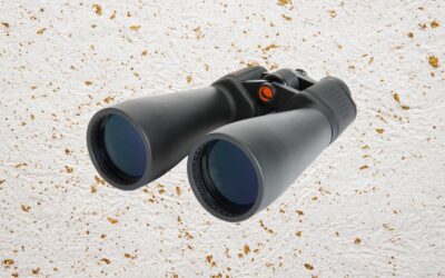 Best Binoculars (2024): Nikon, Celestron, Swarovski, Zeiss