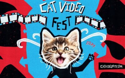 FILM FEST coming on CatVideoFest 2024