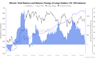 Institutions Pile Into Bitcoin As Retail Sells—A Bullish Signal For The Market?