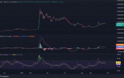 Will Shiba Inu (SHIB) Overcome Resistance Levels After Shibarium’s Growth?