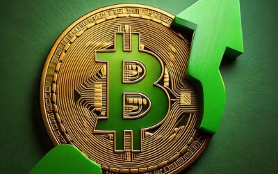 Trading In A Bull Market: Bitcoin Price Rallies And How To Find Entries