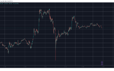 Dogecoin Tapped New 3.5-Year Peak, Bitcoin Price Slips Below $100K (Weekend Watch)