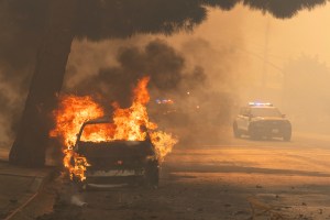 Bulldozer Clears Abandoned Cars & Steve Guttenberg Interviewed Live On-Air — Watch How Local TV Is Covering Palisades Fire