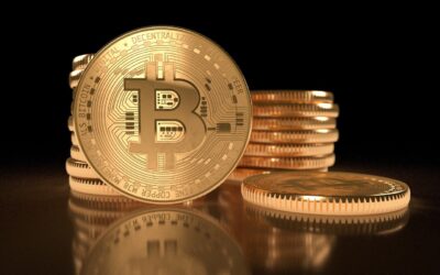 Corporate Bitcoin Holdings Surge in 2024, With Momentum Continuing Into 2025: Bitwise Europe