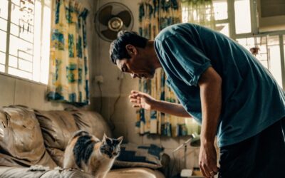 Hong Kong Government Overhauls Film Funding With “Production Financing Scheme 2.0”