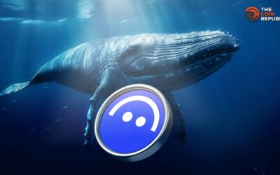 Is $525 Level Within Reach For AAVE Crypto As Whales Re-enter Market?