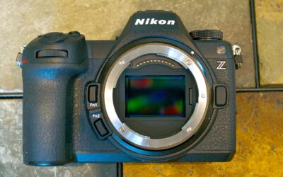 Nikon Z6 III Review: A Hybrid Camera for the Masses