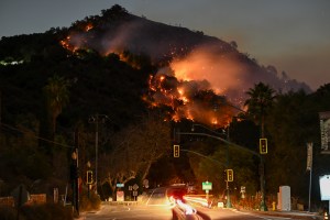 Stephen King Calls For Oscars Cancelation Amid Wildfires: “No Glitz With L.A. On Fire”