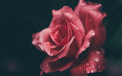 Christi Given Releases New Single “Beauty For Ashes” on Bandcamp